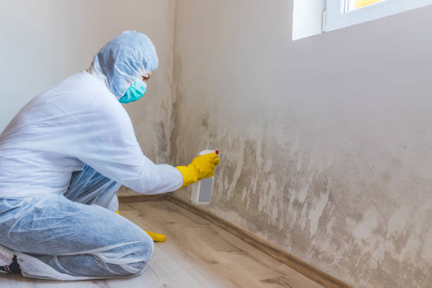Hvac And Air Duct Mold Remediation inspection of HVAC system in Shiloh